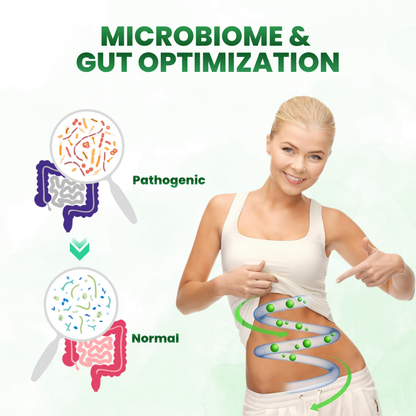 Timilk® SculptAura Moringa • Berberin + NAD+ 10-in-1 Nano-Microneedle-Patch