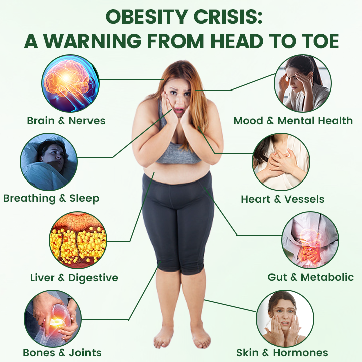 𝑶𝒇𝒇𝒊𝒄𝒊𝒂𝒍 𝑺𝒕𝒐𝒓𝒆  | ☀️☀️𝑻𝒊𝒎𝒊𝒍𝒌® 𝑴𝒐𝒓𝒊𝒏𝒈𝒂 · 𝑩𝒆𝒓𝒃𝒆𝒓𝒊𝒏𝒆 + 𝑵𝑨𝑫+ 10-𝒊𝒏-1 𝑵𝒂𝒏𝒐 𝑴𝒊𝒄𝒓𝒐𝒏𝒆𝒆𝒅𝒍𝒆 𝑷𝒂𝒕𝒄𝒉(𝐉𝐮𝐬𝐭 𝐨𝐧𝐜𝐞 𝐚 𝐝𝐚𝐲, 𝐯𝐢𝐬𝐢𝐛𝐥𝐞 𝐜𝐡𝐚𝐧𝐠𝐞𝐬 𝐢𝐧 𝟕 𝐝𝐚𝐲𝐬）☀️