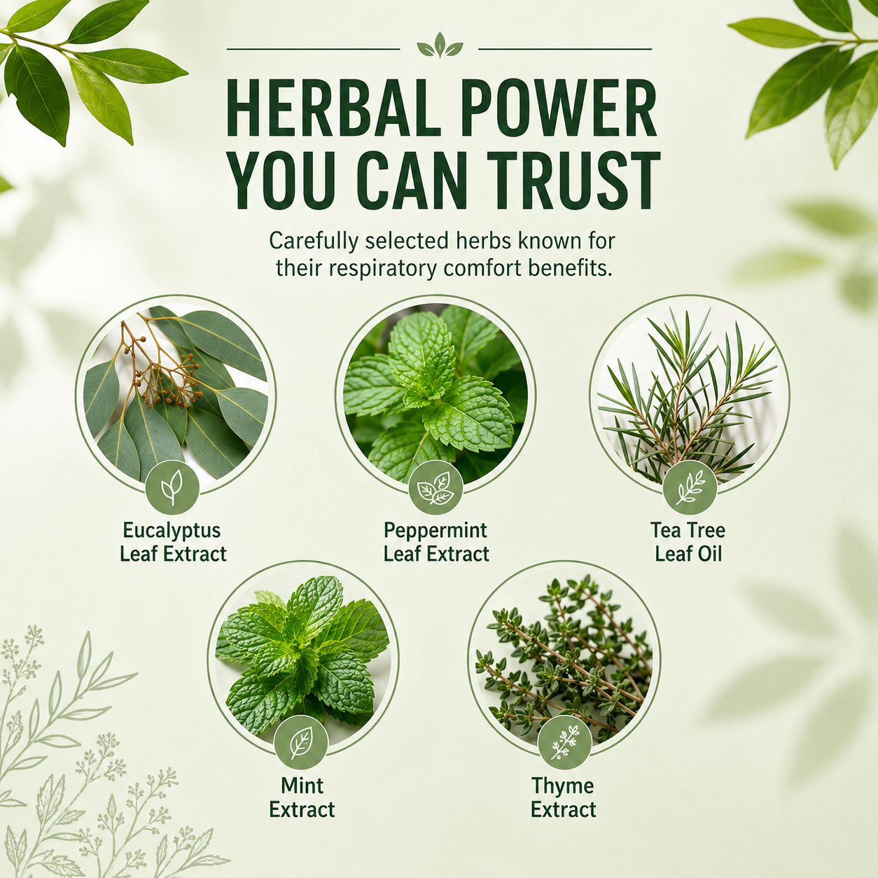 Herbal Soothing Roller