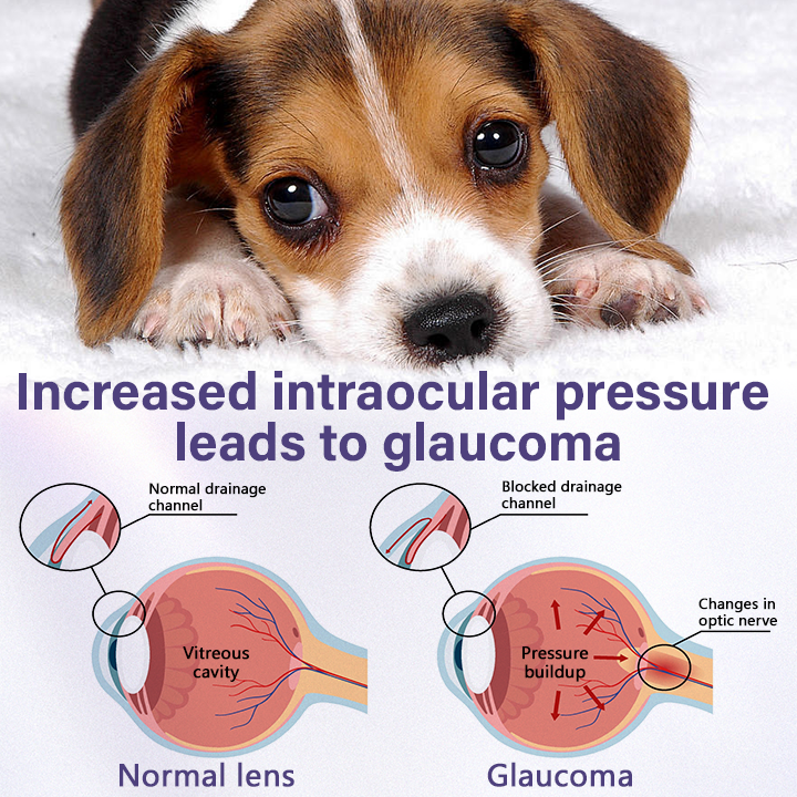 Timilk® NanoCare Pet Eye Drops ❤️